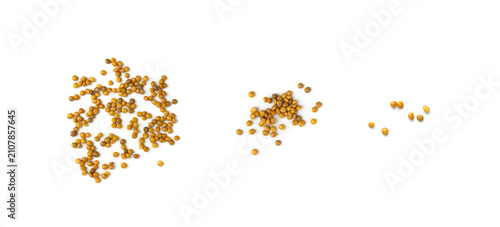 Schilderij op canvas Cooked lentil, boiled green lentils