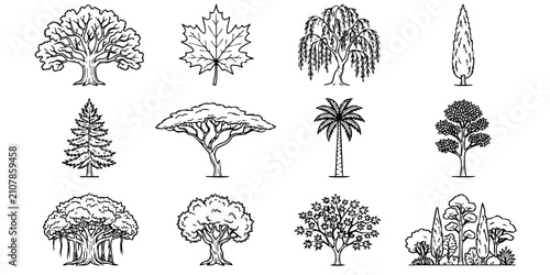 Black and white line art collection of various tree species, including oak, maple, pine, and palm, isolated on a white background for design elements