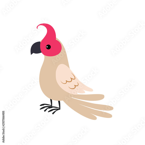 Cute cockatoo bird illustration. Flat vector graphic of a tropical parrot character.