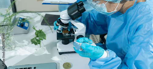 Scientists with research into natural medicine, natural skin care products, laboratories and development concepts.