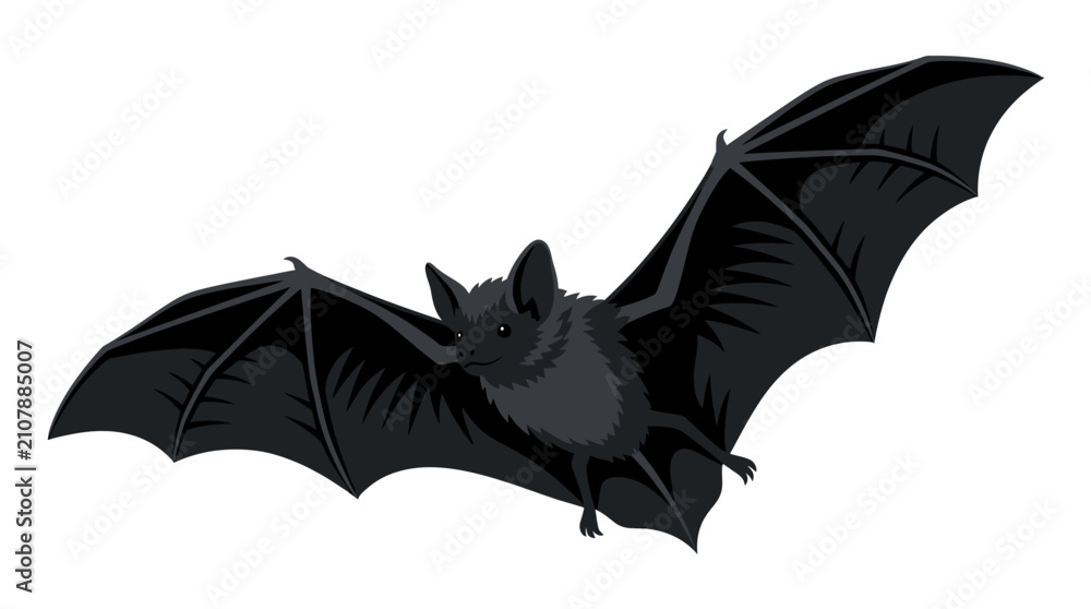 Fototapeta premium Black bat flying with spread wings, nocturnal animal vector illustration, spooky halloween bat character isolated on white background