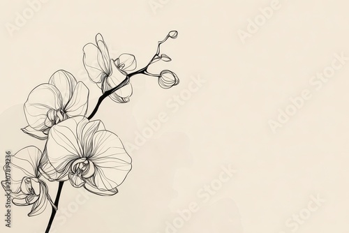Elegant single-line orchid sketch for botanical decor