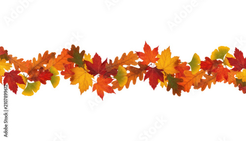 Autumn leaf garland border, colorful fall foliage banner with orange red yellow maple leaves, seasonal decoration design element isolated PNG with Transparent Background