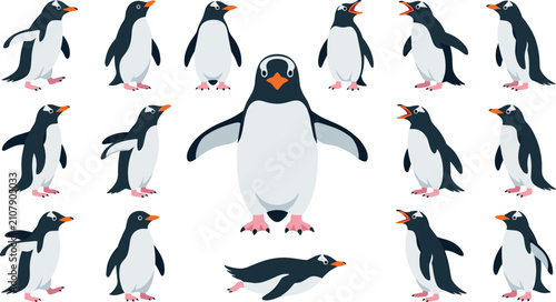 Cuadro en lienzo Cute penguin vector character set featuring arctic birds in various poses like walking, standing, squawking, and sliding on stomach