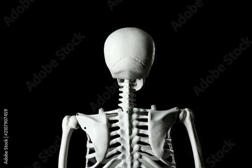 Scary human skeleton on black background, back view