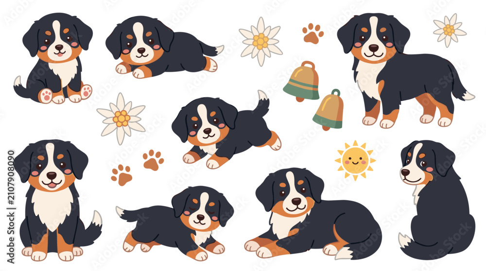 Obraz premium Set of bernese mountain dog puppies in various poses with edelweiss flowers and bells, charming pet stickers for scrapbooking and digital decor