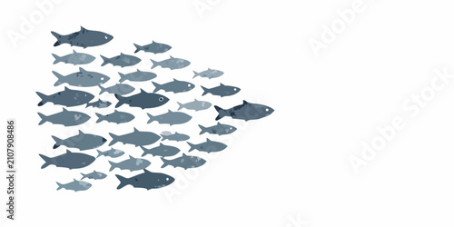 Photography School Of Fish Illustration A Watercolor Style Depiction On A White Background a