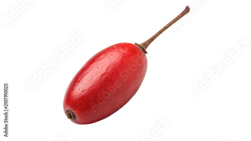 Konstfotografi Single beautiful fresh ripe red cornelian cherry berry isolated on transparent b