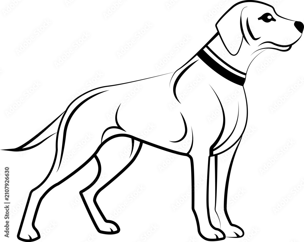Obraz premium Elegant Black and White Vector Line Art Illustration of Labrador Retriever Dog Standing in Profile with Collar for Graphic Design Projects and Stock Images