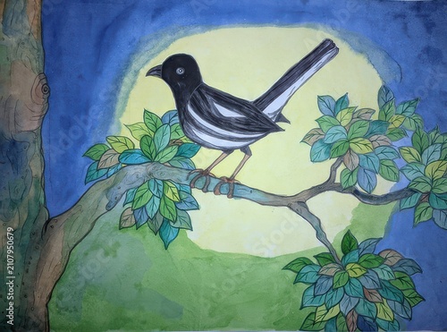 Black and white magpie bird perched on a branch at night