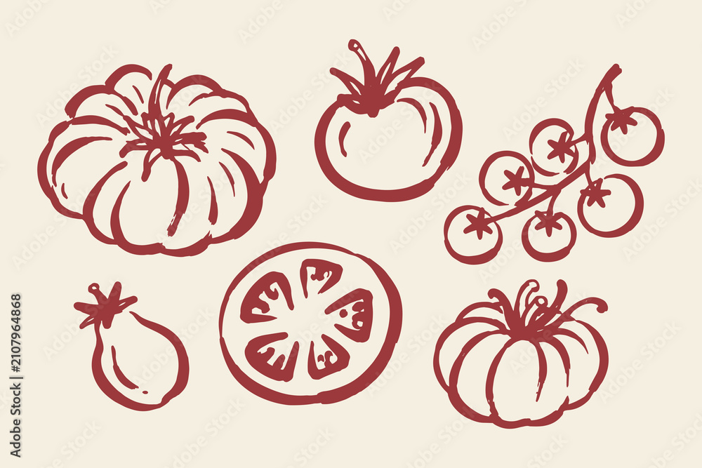 Obraz premium Tomato Set Hand Drawn Doodle Vector Illustration