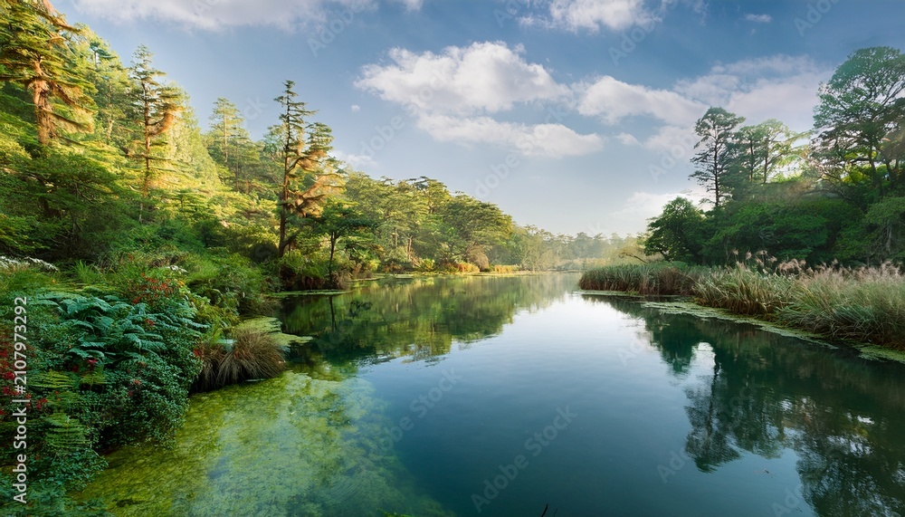 Fototapeta premium Lush Green Riverbank With Calm Waters And Diverse Plant Life Surrounded By Dense Woods