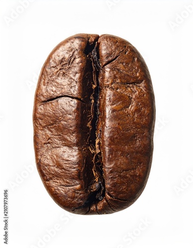 Close-up of a single, roasted coffee bean against a stark white background
