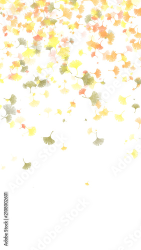 Bild auf Leinwand Falling ginkgo biloba leaves vertical border isolated on transparent background