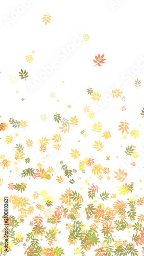 Fotografie Falling rowan leaves bottom border frame isolated on transparent background