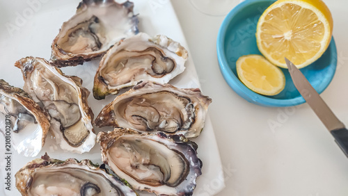 Fotografie Freshly shucked oysters on a white plate with lemon wedges and a knife on a blue