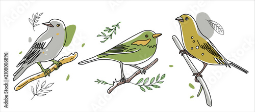 Bird illustration. Collection of cute hand drawn bird doodles. Line style in minimalism on white vector picture