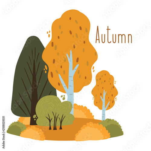 Flat vector illustration of an autumn scene with birch trees, stylized foliage, and the word “Autumn”