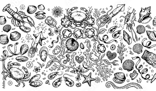 Foto Antique sea animals and shells vector pack