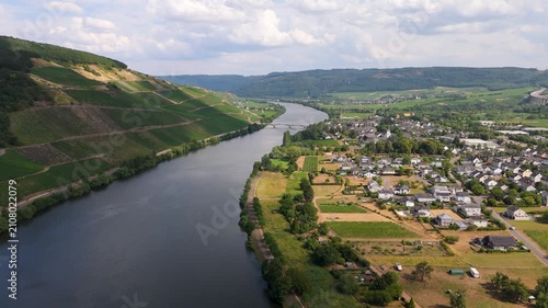 Moselle Valley in summer, Mosel river, aerial view, riesling wine growing on vine, vineyard landscape near Trier, agriculture in Germany