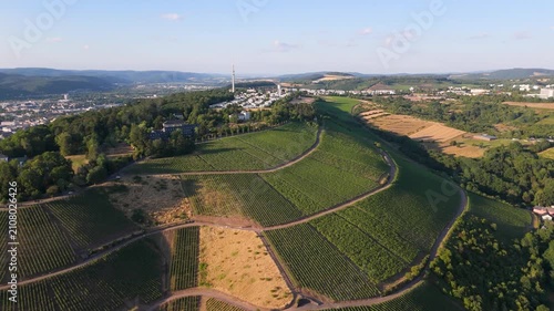 Vineyards, Trier cityscape, Petrisberg district, moselle valley, aerial view, summer landscape rhineland palatinate, Germany