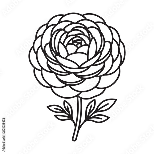 Premium Ranunculus Flower Outline Vector Icon – Minimal Monoline Botanical Illustration