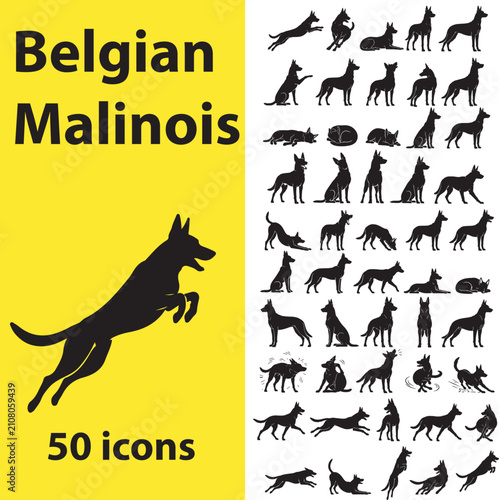 Fotografía Belgian Malinois Black Silhouette Vector Icon Set Premium Dog Poses Collection