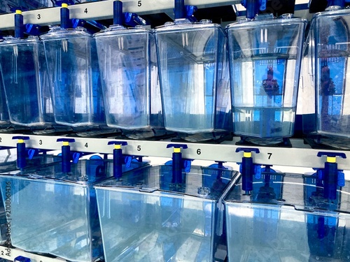 Fotografía laboratory aquatic tanks rack system for zebrafish research