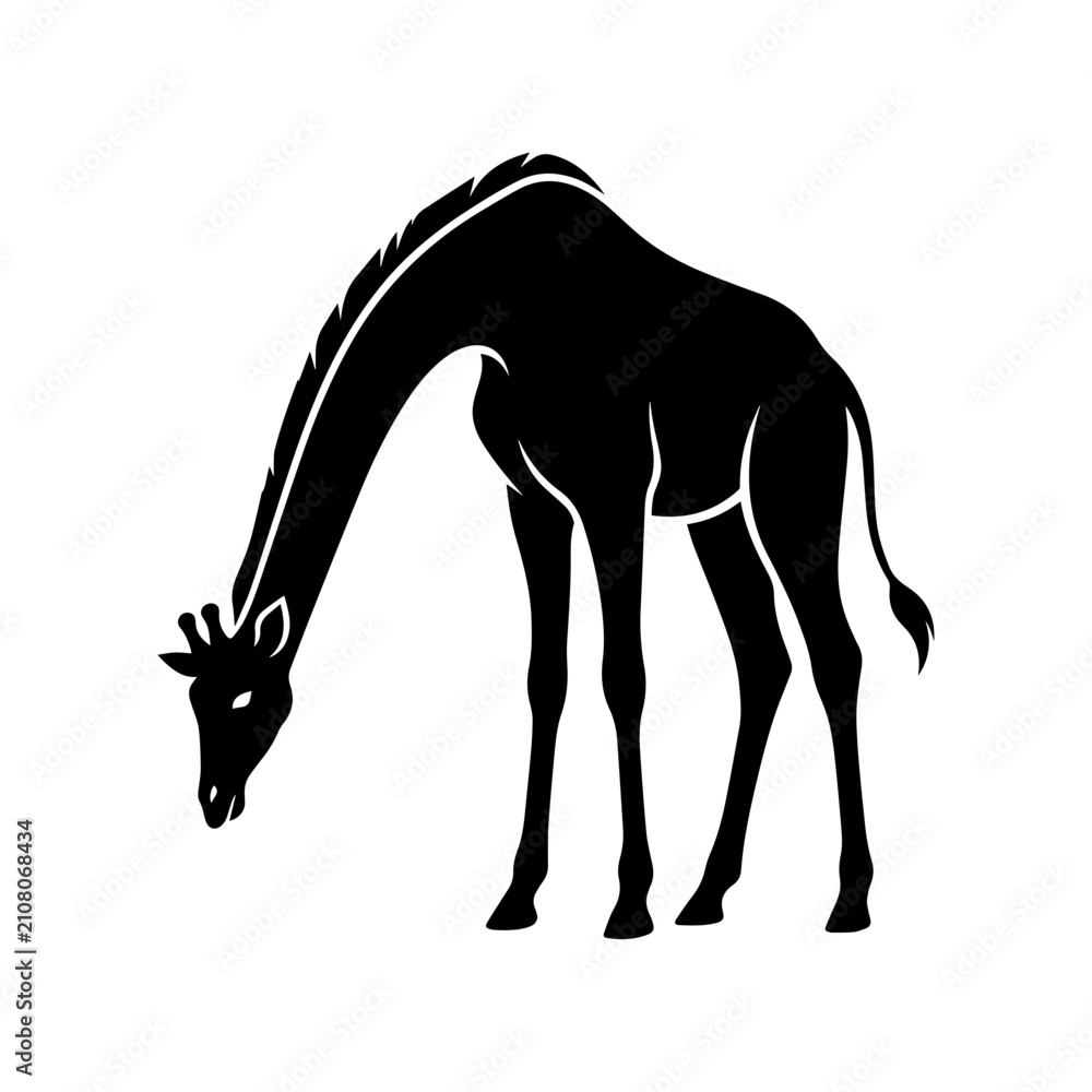 Obraz premium Grazing Giraffe Black Silhouette Wildlife Vector Isolated on Transparent Background