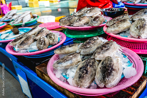 Obraz na plátne Freshly caught raw fish displayed for sale at the famous Jagalchi fish market in