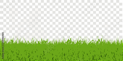 Quadro su tela Green Grass Border With Transparent Background Vector Illustration