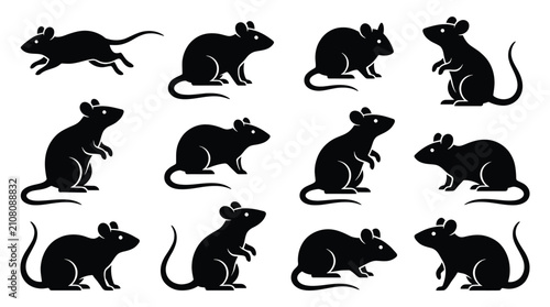 Foto Set of black silhouettes of rats and mice in different poses