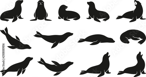 Принти на полотні Sea lion silhouettes in various poses