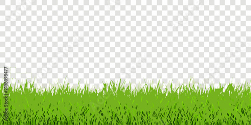 Foto Green grass illustration with a transparent background