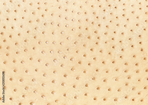 Cream Ostrich Leather Texture Macro Background