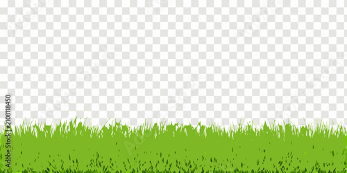 Foto Green grass blades against a transparent background vector illustration
