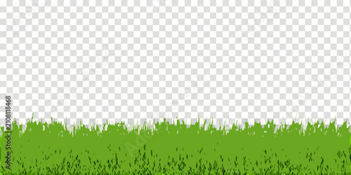 фотографія Green Grass Blades On Transparent Background Vector Illustration