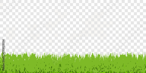 Vászonkép Green Grass Blades Along Bottom Edge Transparent Background