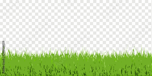 Foto Green Grass Blades With Transparent Background Vector Illustration
