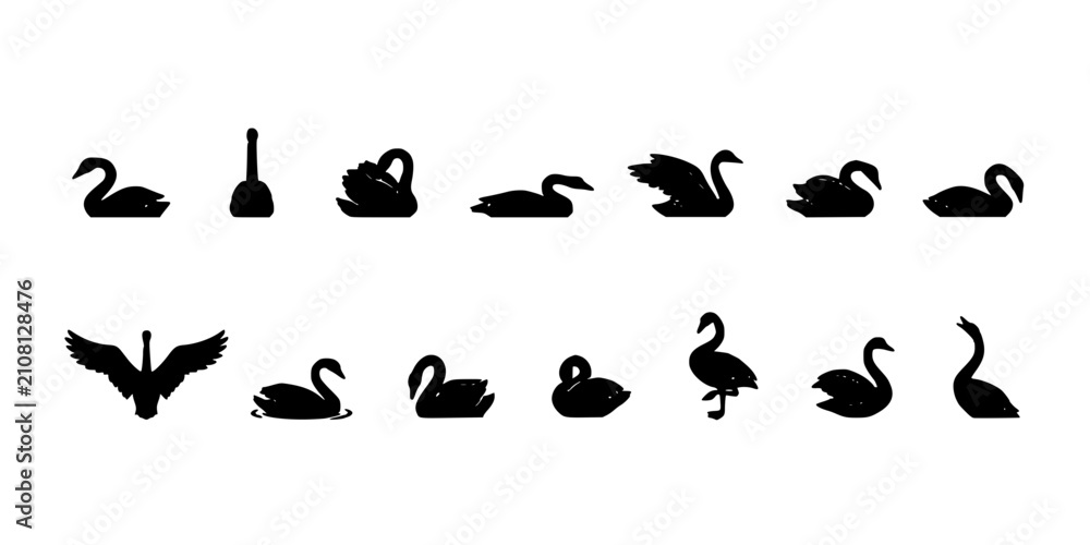 Obraz premium Swans in Various Poses and Styles as Black Silhouettes on White Background Featuring Swan, Silhouette, Bird with Water and Nature