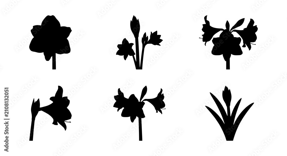 Fototapeta premium Floral Silhouettes Collection: Amaryllis, Lily, Daffodil Vector Icons for Botanical Design