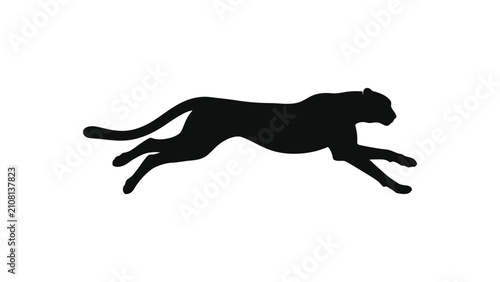 Silhouette of a running cheetah in motion.