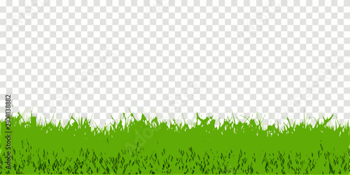 Quadro su tela Green grass blades on a transparent background digital illustration