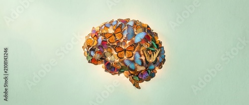 Colorful Butterfly Brain on Light Green Background Representing Creative Thinking and Mental Health.