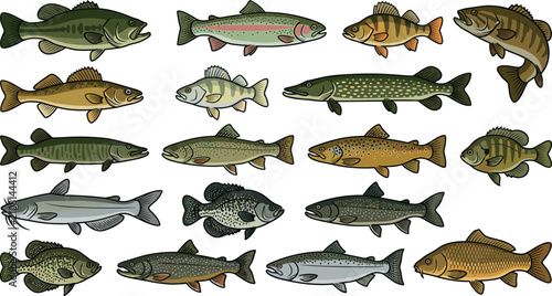 Canvas Print Freshwater fish species set featuring bass trout pike walleye perch catfish crap