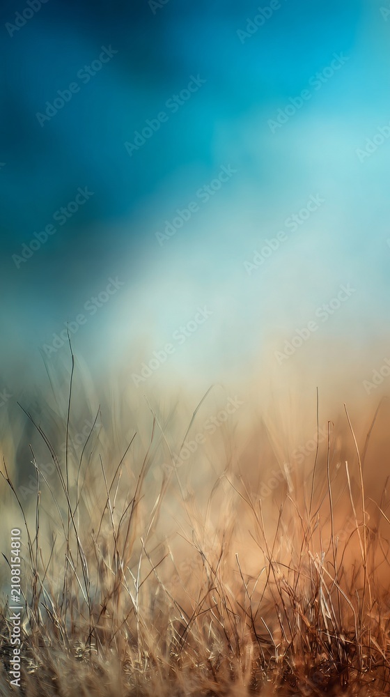 Fototapeta premium A serene abstract image features a field of grass with a blurred blue sky background. Perfect for conveying peace, nature, and dreamlike qualities. Use it for backgrounds, creative projects, and more.