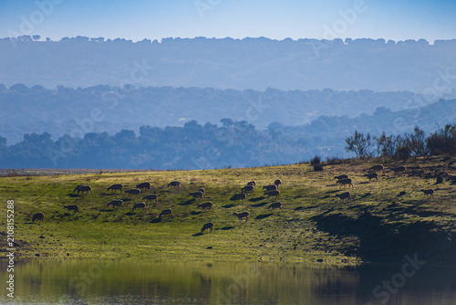 Tableau sur toile Valdecañas Reservoir (Extremadura, Spain)