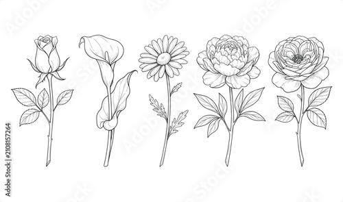 Bild auf Leinwand Elegant line drawing floral composition with rose calla lily daisy and peony vec