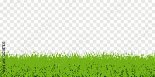 Fényképezés Green grass blades against a transparent background illustration