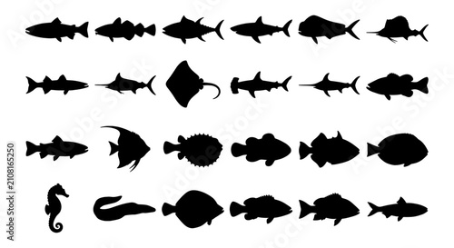 Foto Diverse Marine Life Silhouettes: 25 Aquatic Animal Icons, Ocean Creatures Vector
